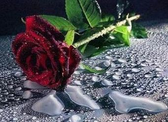 1521166full.jpg 1521166full.jpg